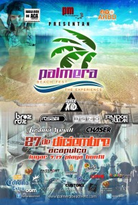 palmera beach flyer
